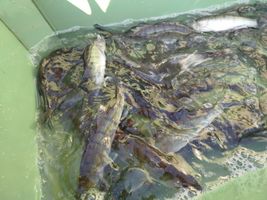 IMG_20260306_092438 (1).jpg